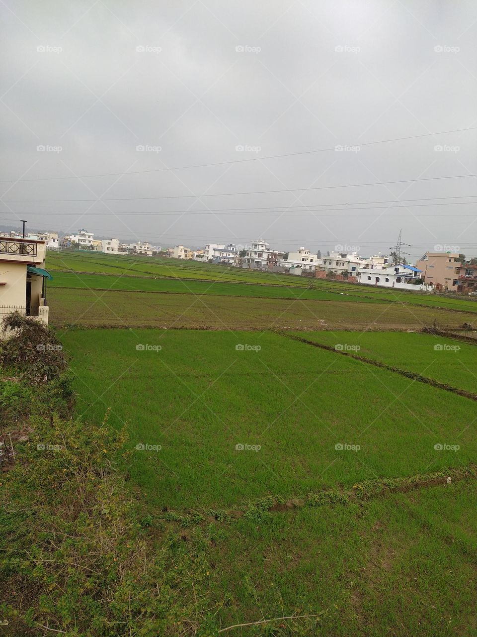 Village amidst the town