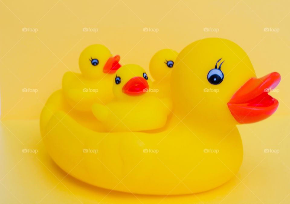 Mother rubber duck and three baby rubber ducklings on a bright yellow background