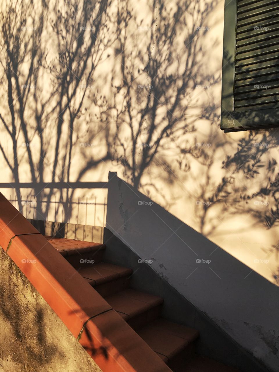 Shadow of trees on balcony wall with green window railing and stairs 