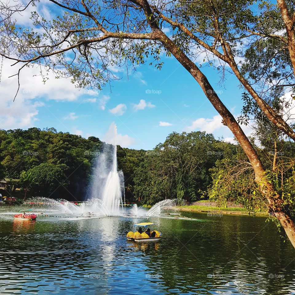 Scenic view of park against sky