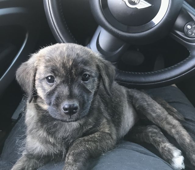 Chillin in the car