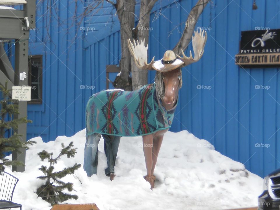 Quilted moose!. Moose sculpture at Steamboat Springs, CO.