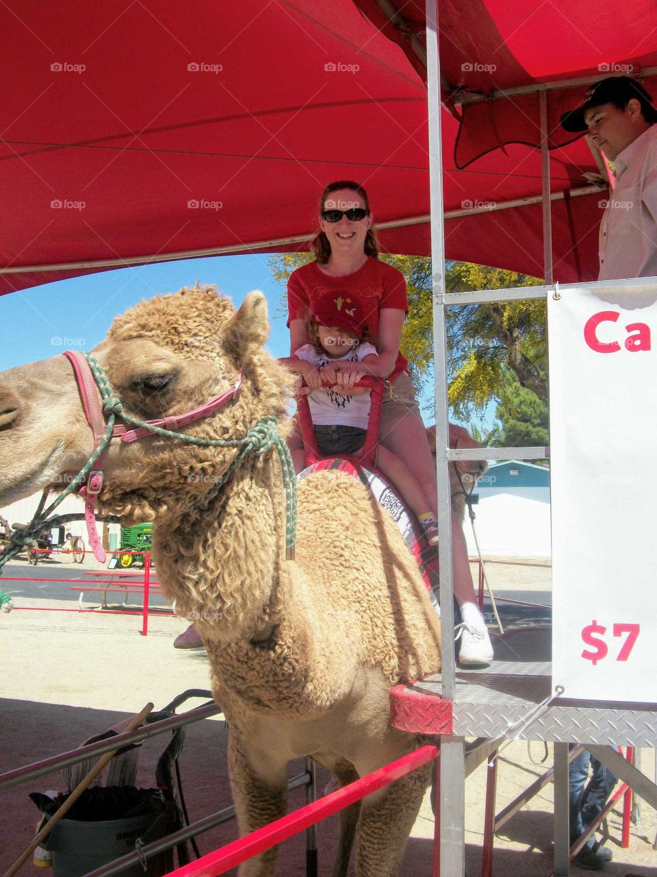 Camel ride