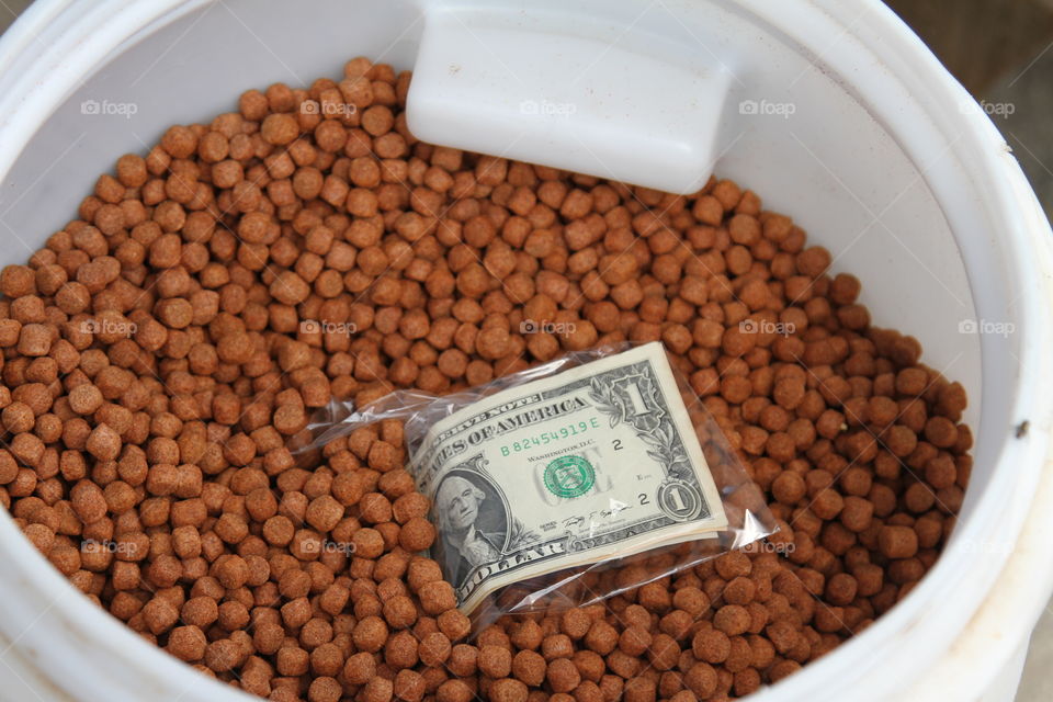 dollar na ração