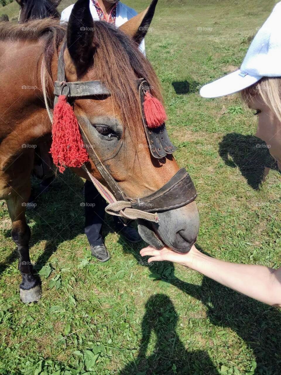 Glimmers: small moments of happiness