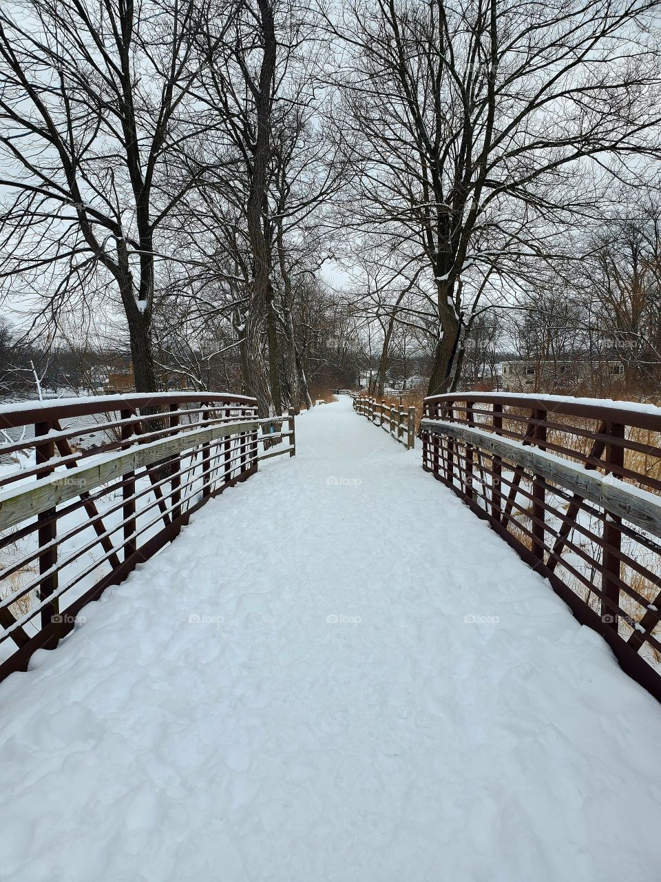 winter bridge