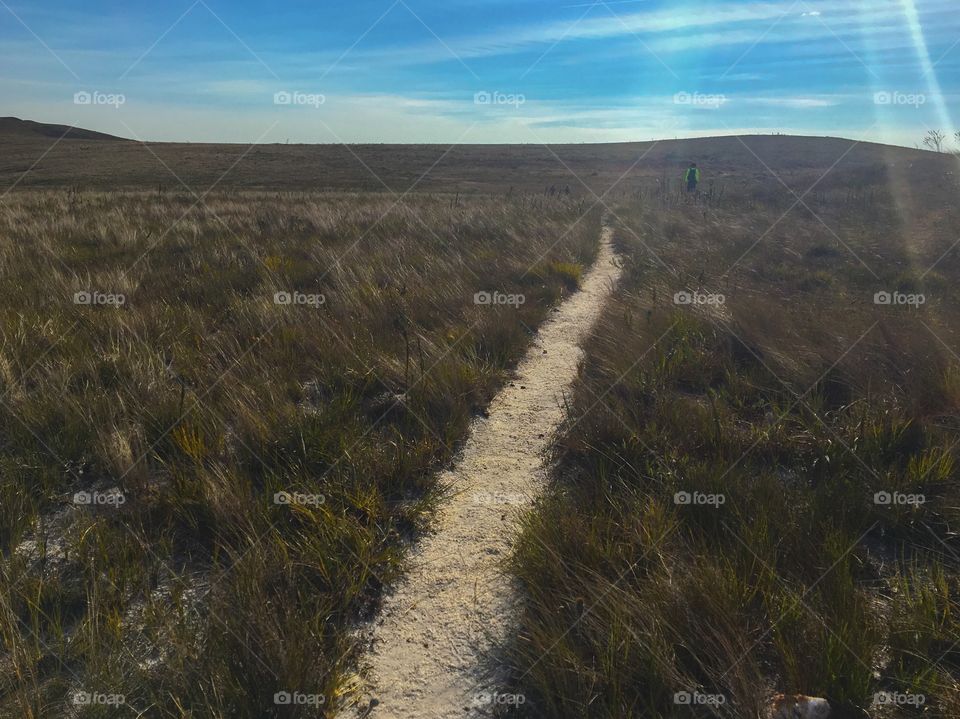 Natural light reflecting on the trail in the field