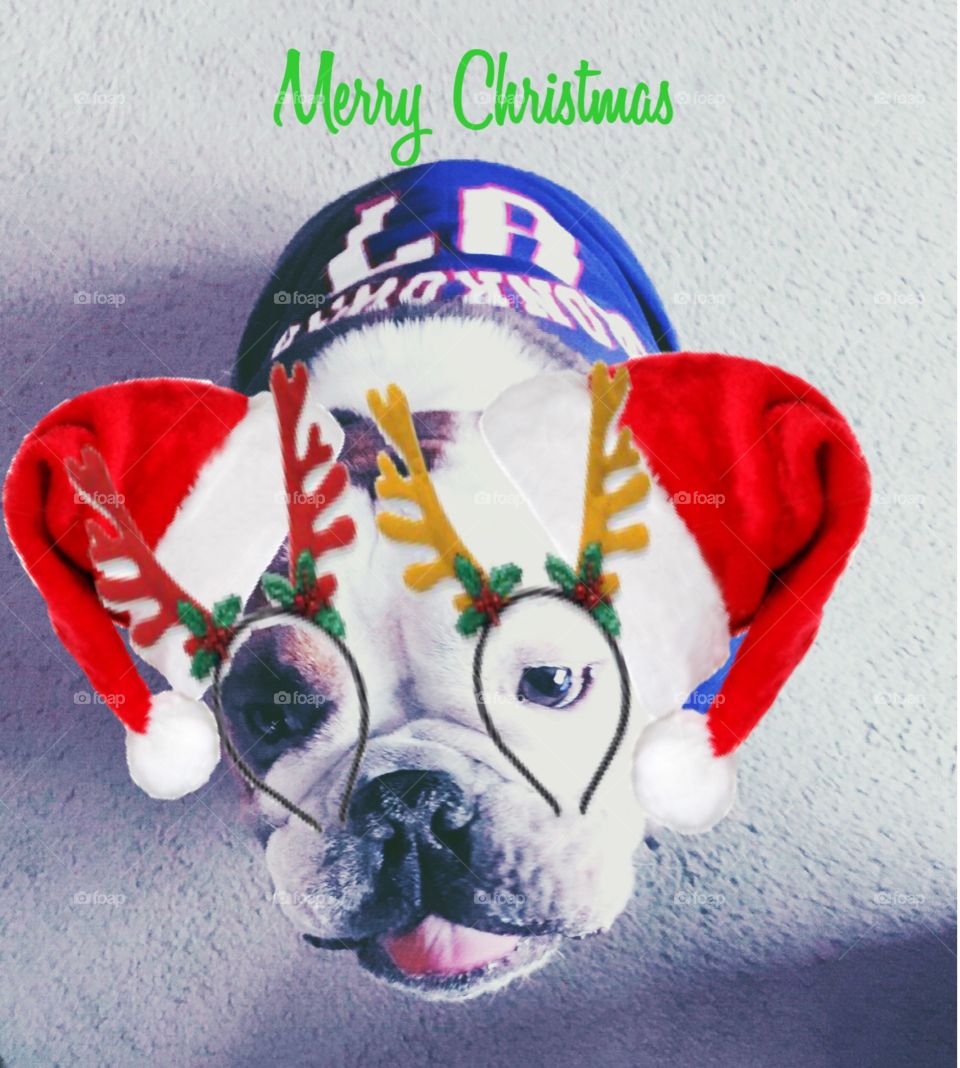 Merry Christmas from our family to yours🎄