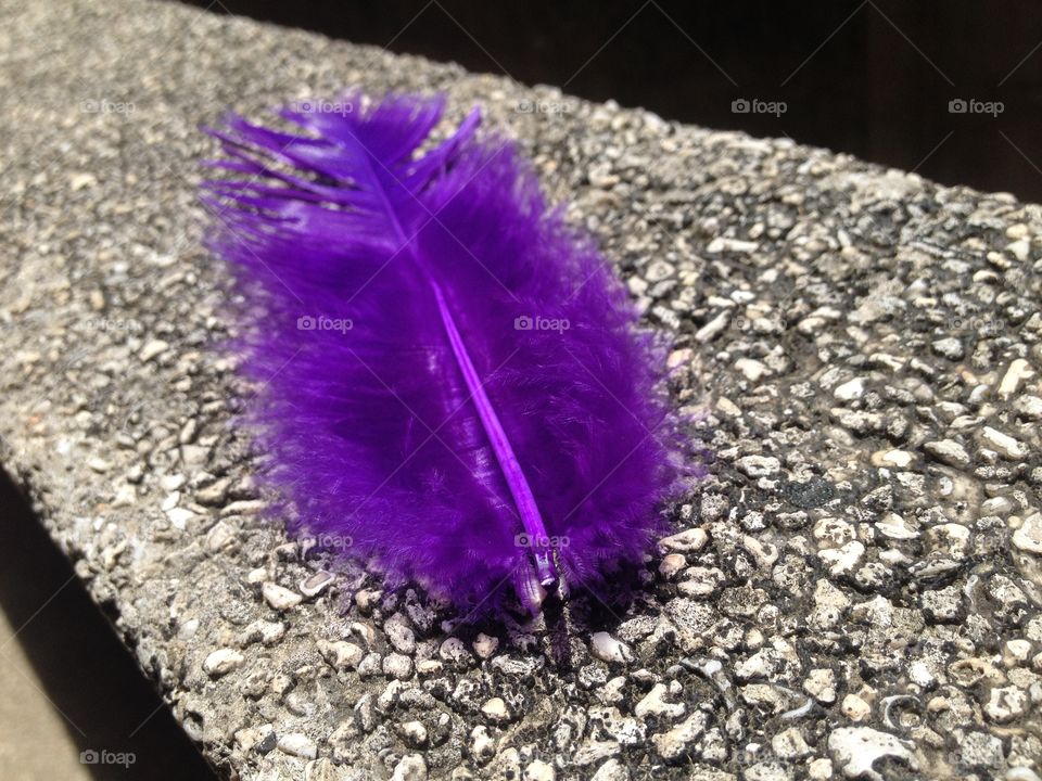 feather