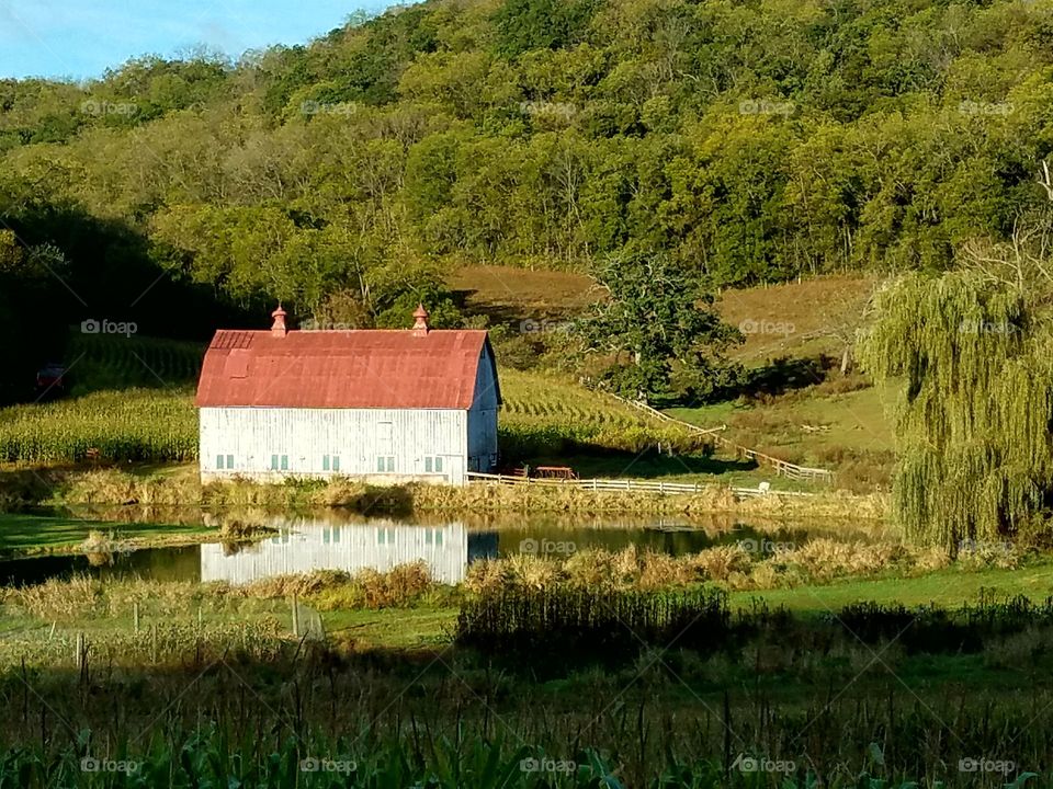 While driving the back roads we love seeing the small farms with the old buildings and the livestock.  It reminds me when I was young.