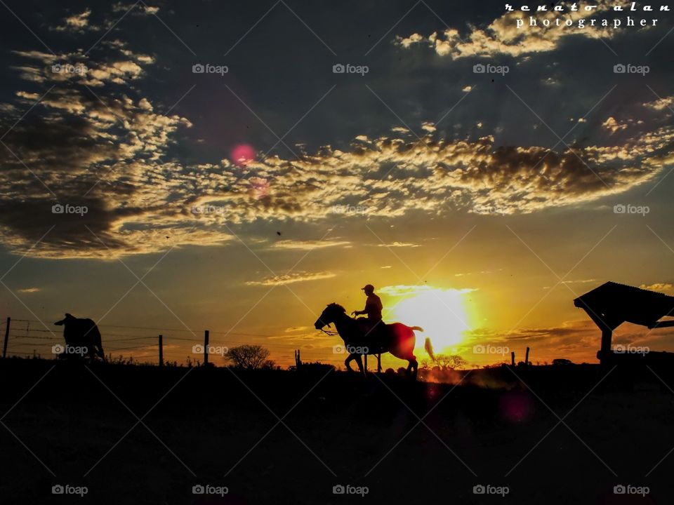 Sunset, Dawn, Backlit, Silhouette, Evening