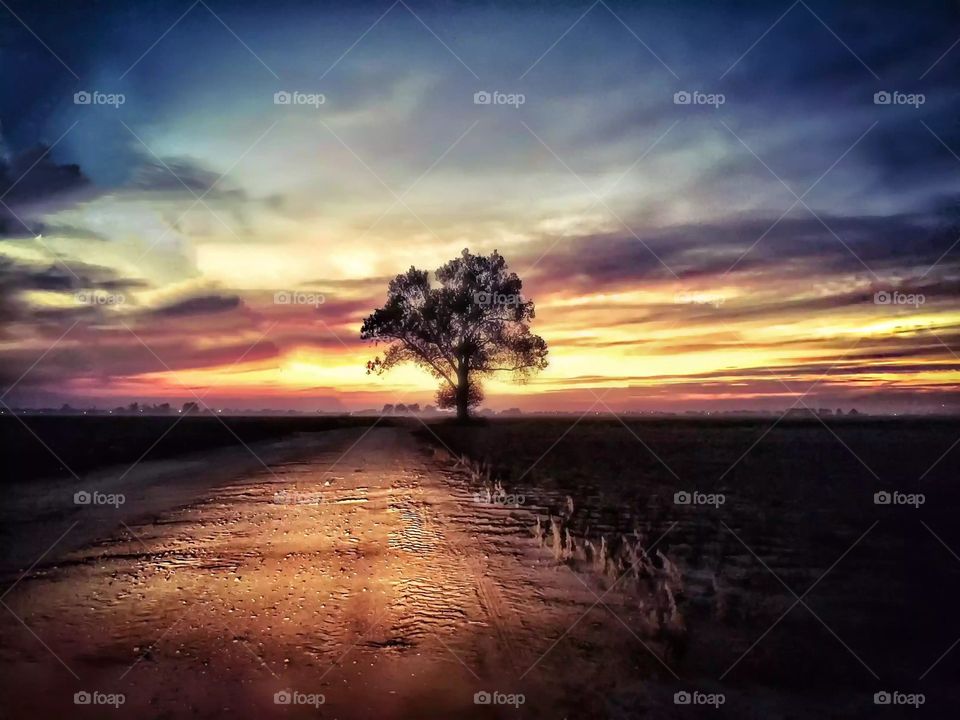 Listen to the trees as they sway in the wind. Their leaves are telling secrets ~ V.N