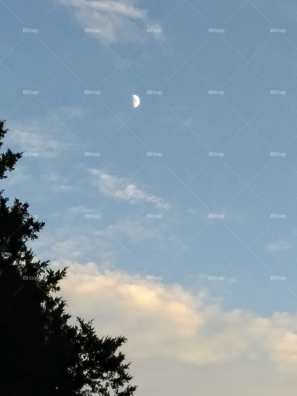 half moon over clouds