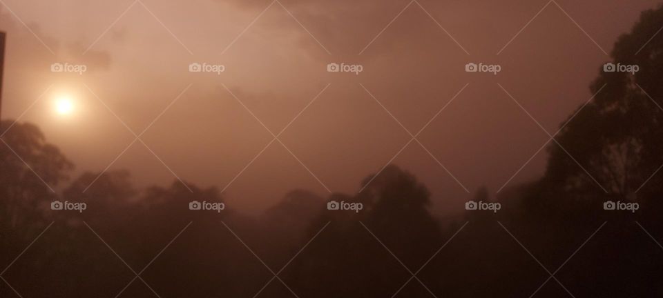 Amanhecer com neblina