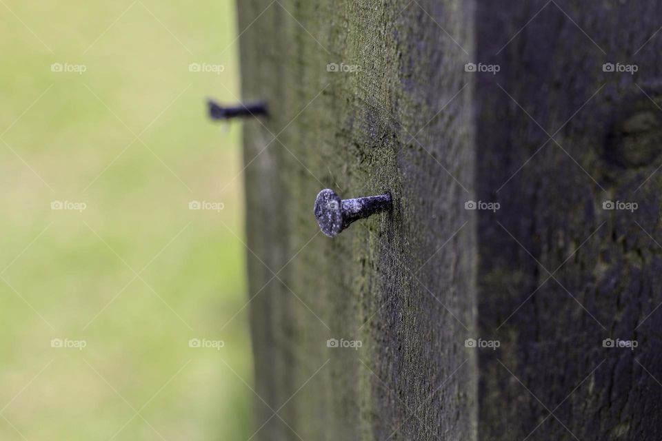 nail in wood