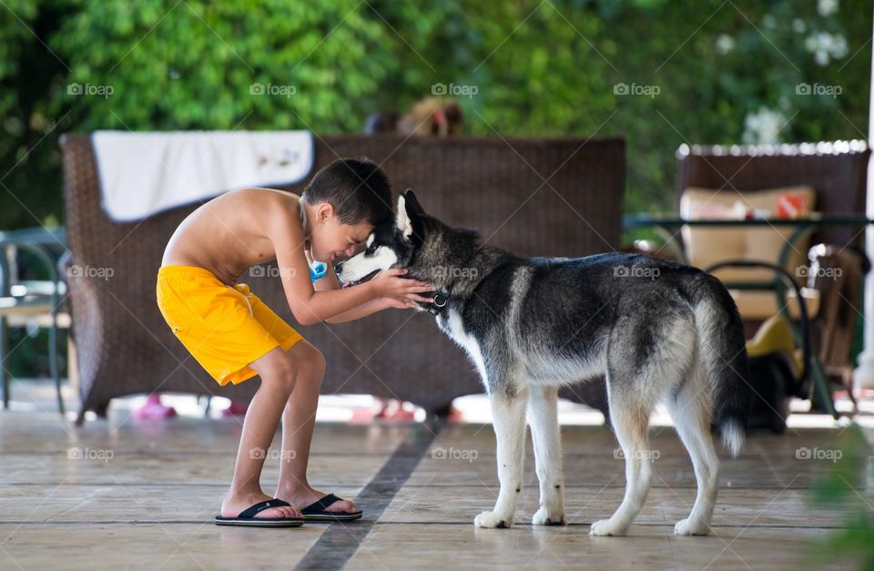 a boy's live to his dog