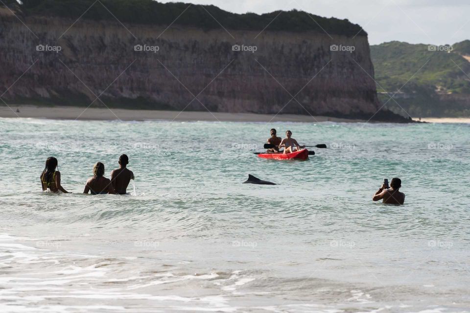 los delfines de Pipa, muy amigables, muy delfines.