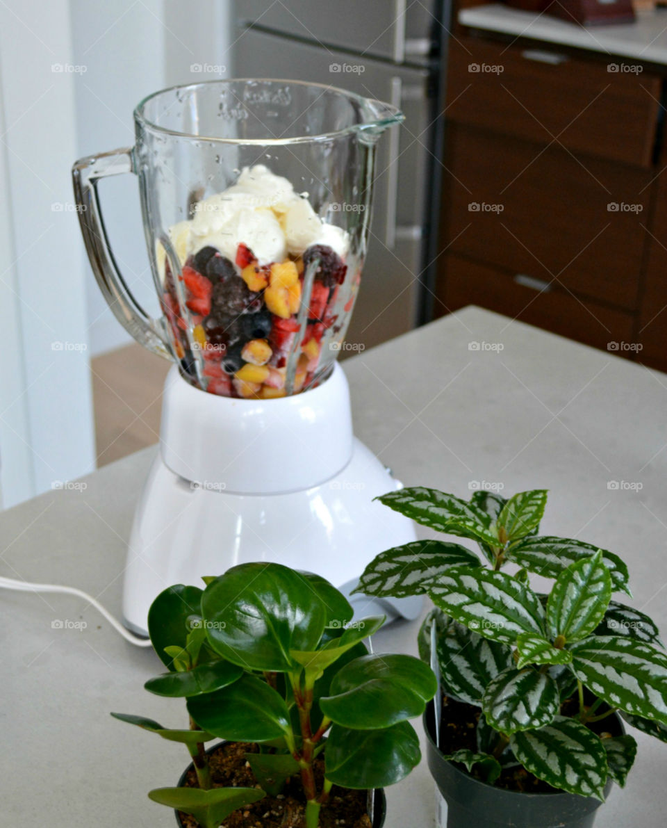 Dessert Smoothie, Vanilla Ice Cream  And Fruit, Hike Blender, Plants 