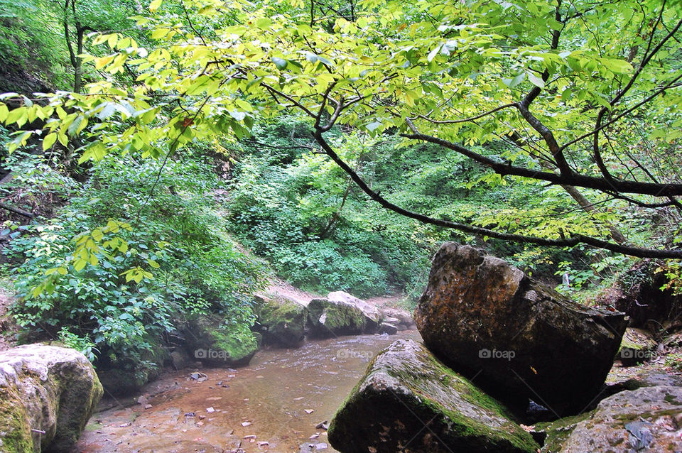 green spring summer hot by brockwillis