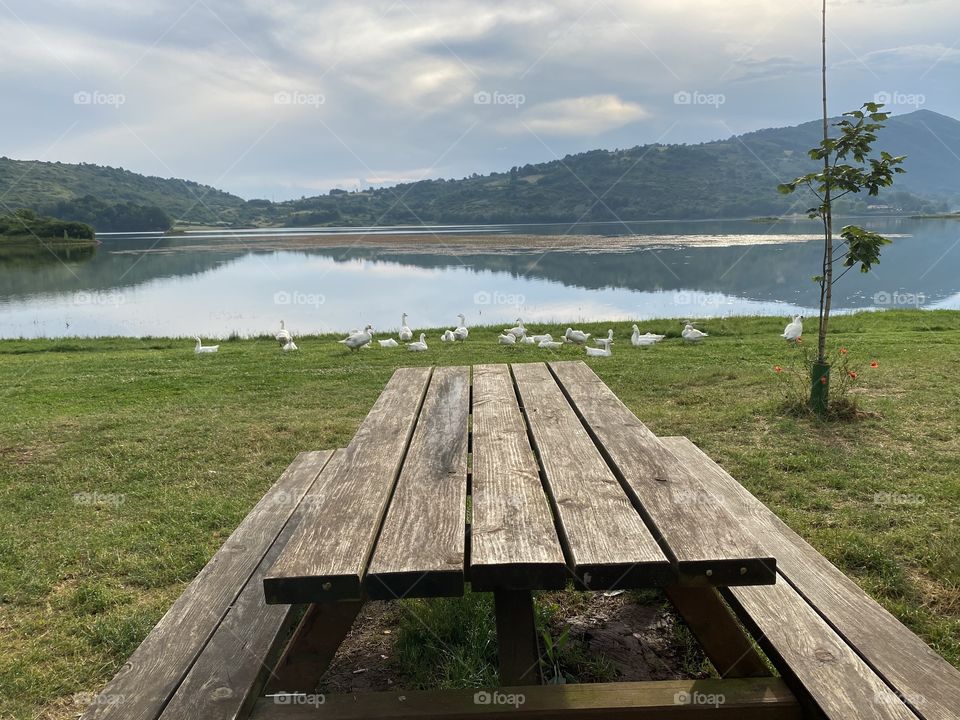 Picnic, lake, geese