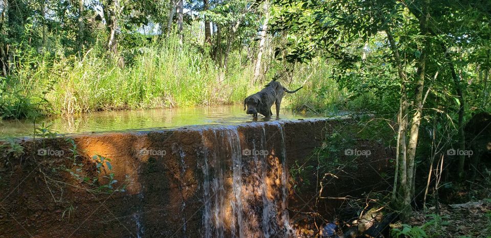 Fila se refresca