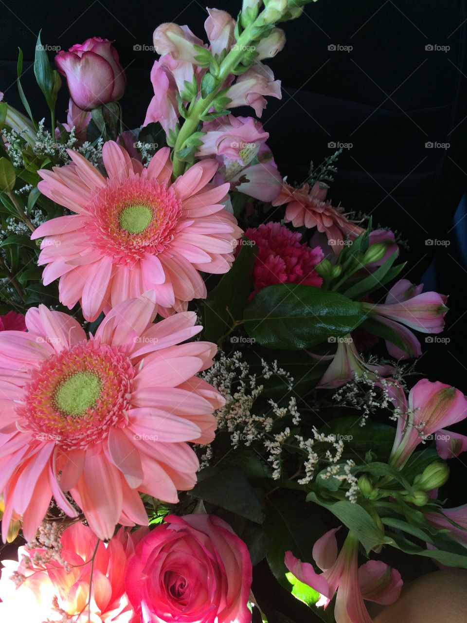 Dynamic pink flowers