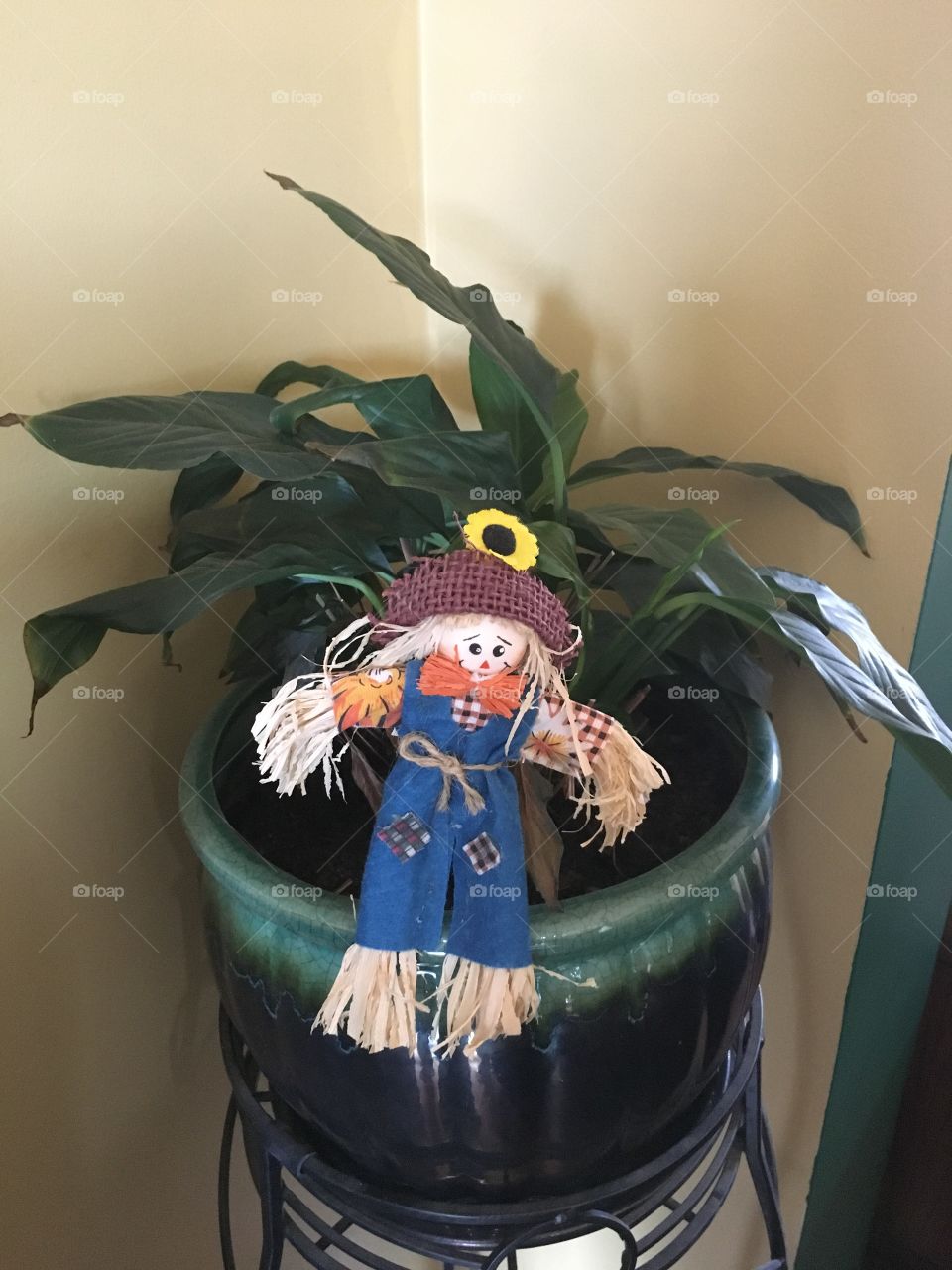 Scarecrow in a plant