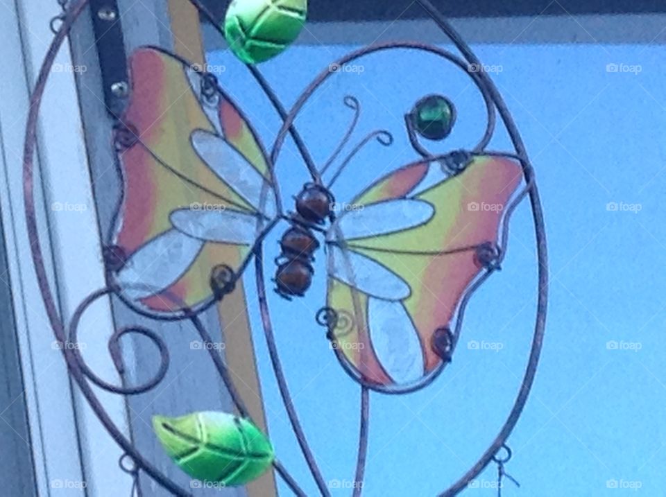 Glass butterfly 