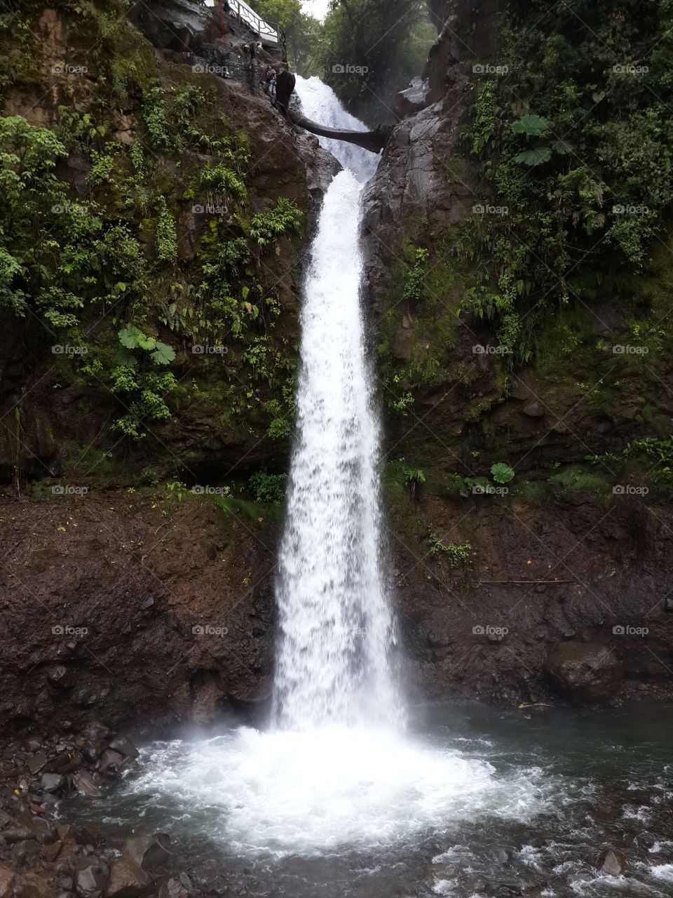 Scenic view of waterfall