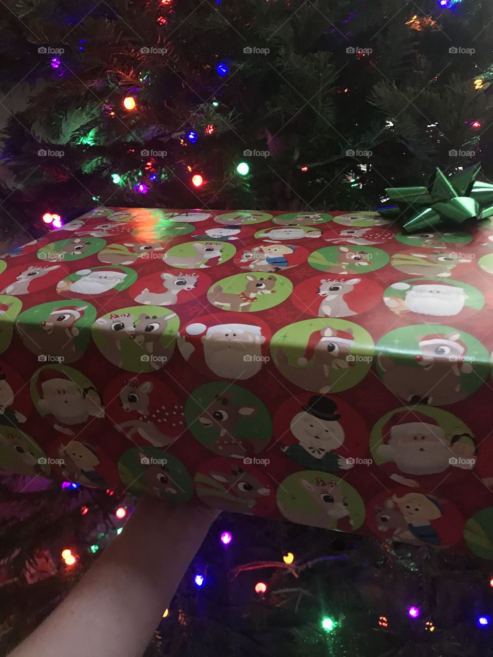 A gift package sitting under the tree, gift box wrapped in Rudolph the red nose reindeer wrapping paper. Present for Christmas. USA, America 