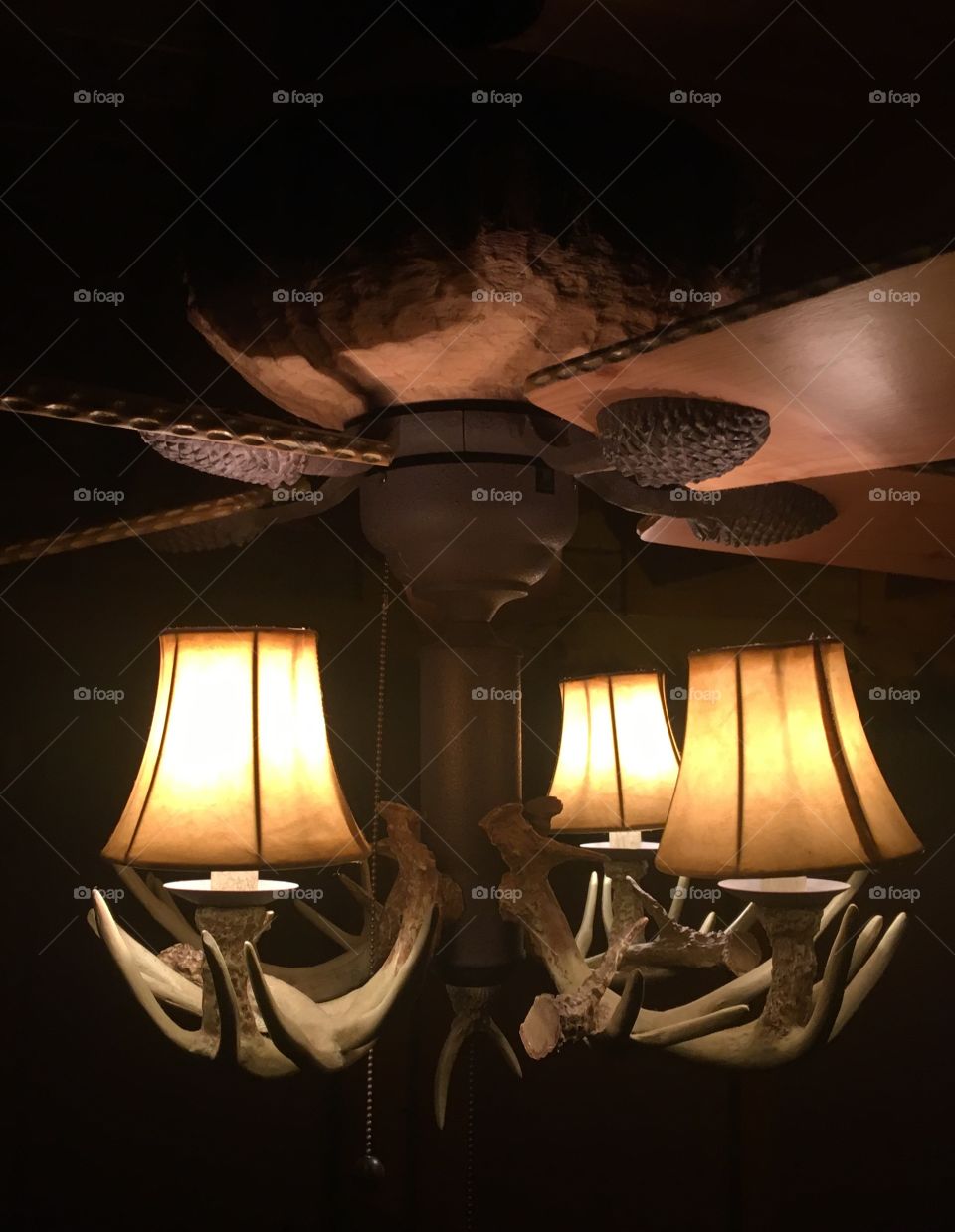 Fancy rustic ceiling fan
