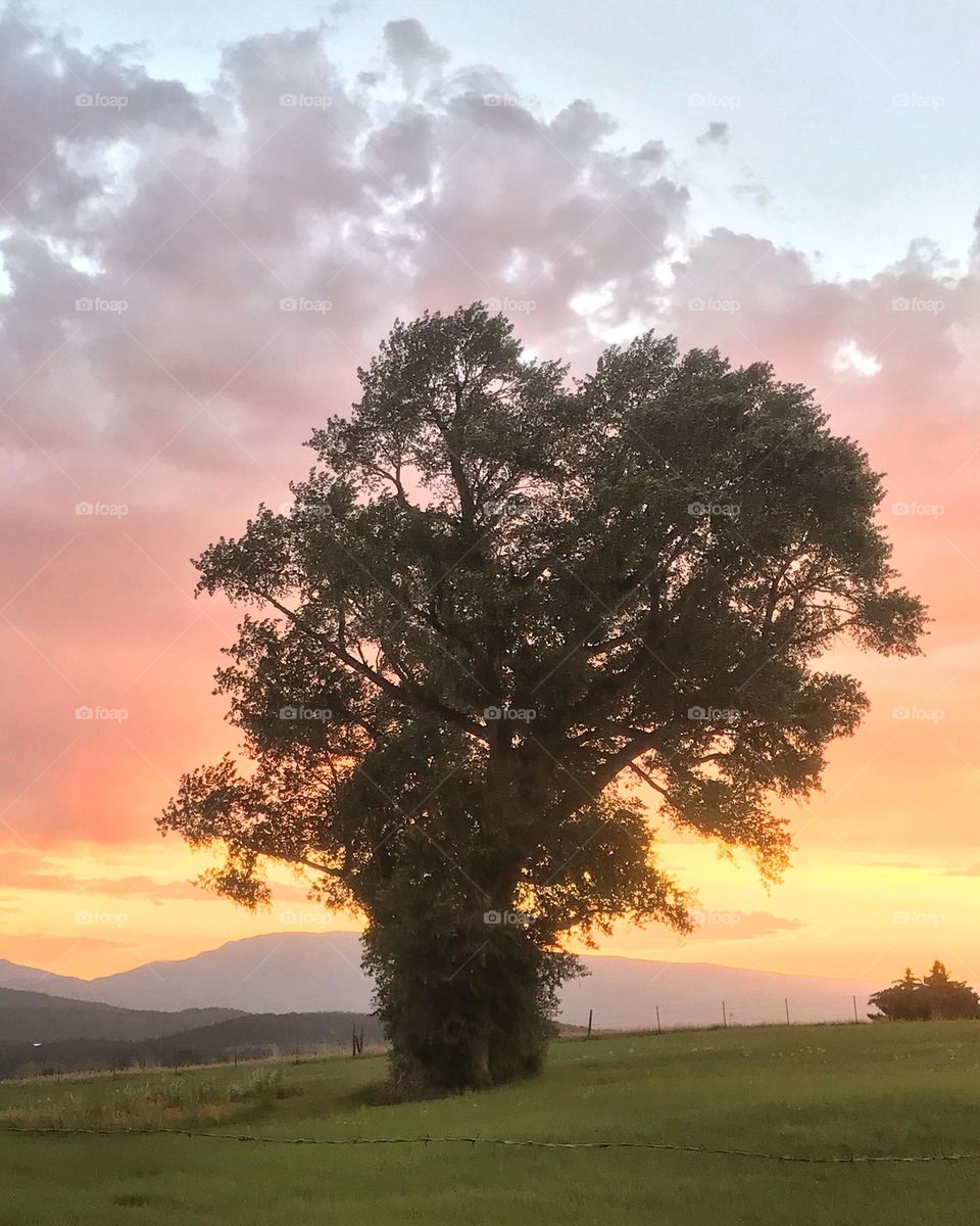 It’s a mood. Enjoy 😊