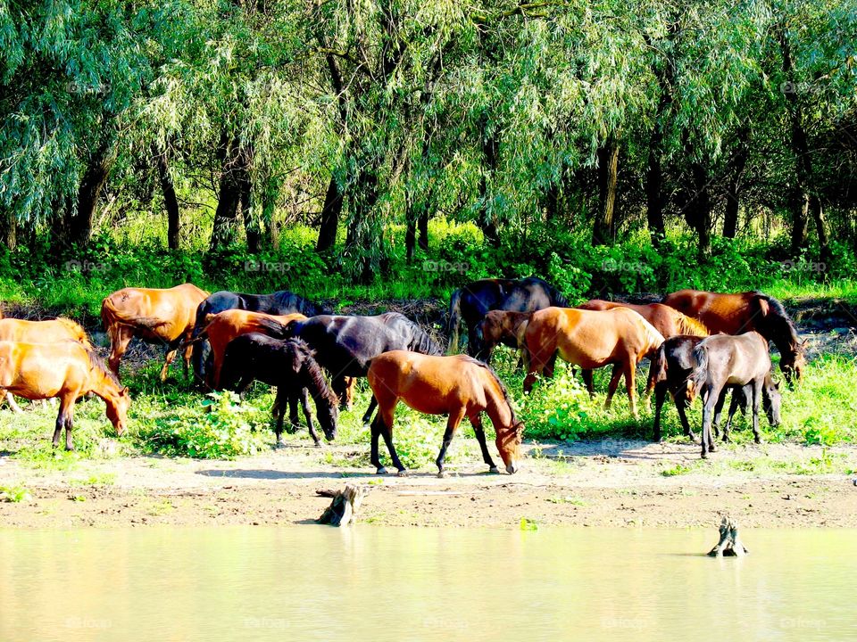 Your local treasures 