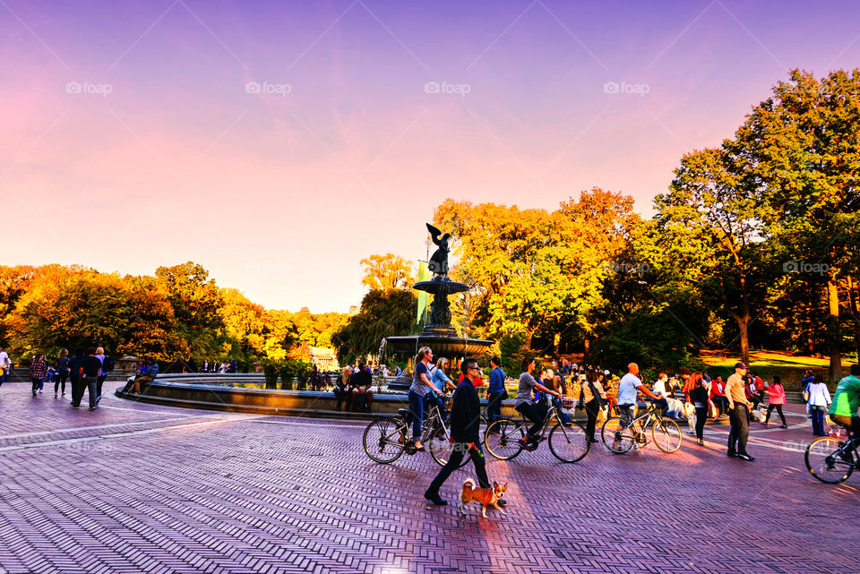 central park. NYC central park fountain