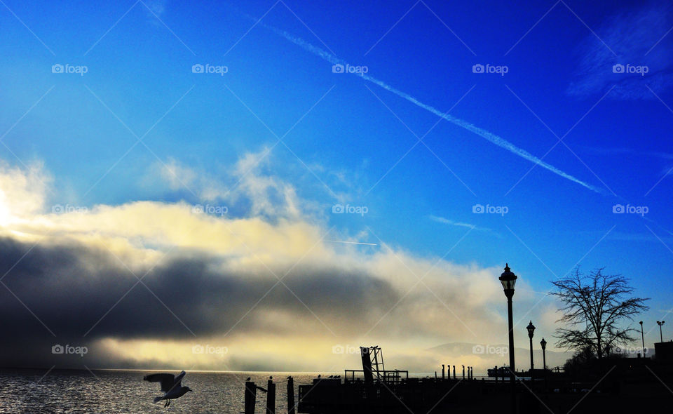 sky blue clouds bird by delvec