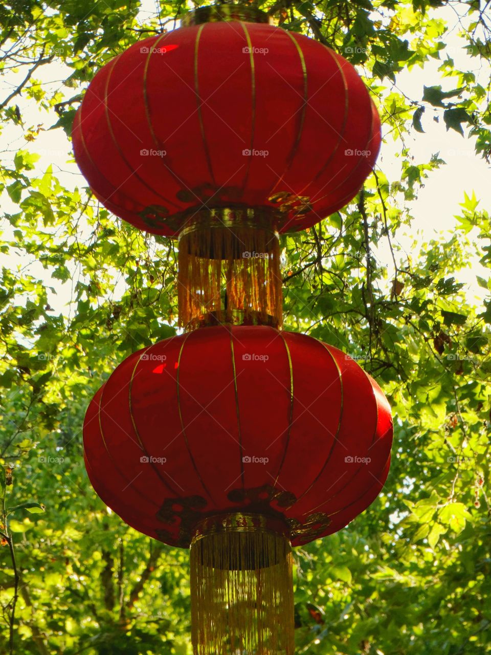 Hanging Chinese Lantern
