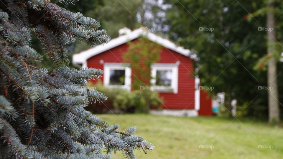 Cute red house