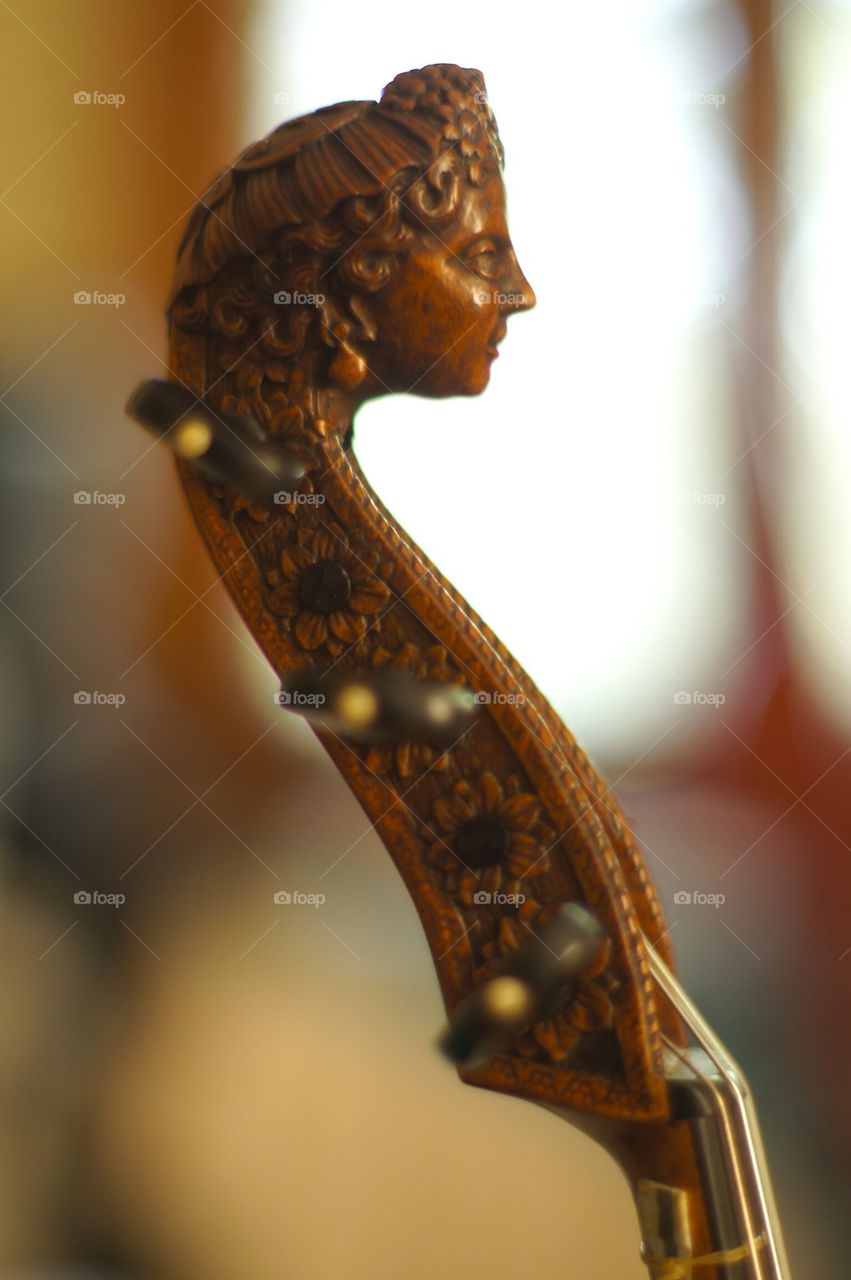 Instrument peg face  paredsuess   Viola da gamba head  