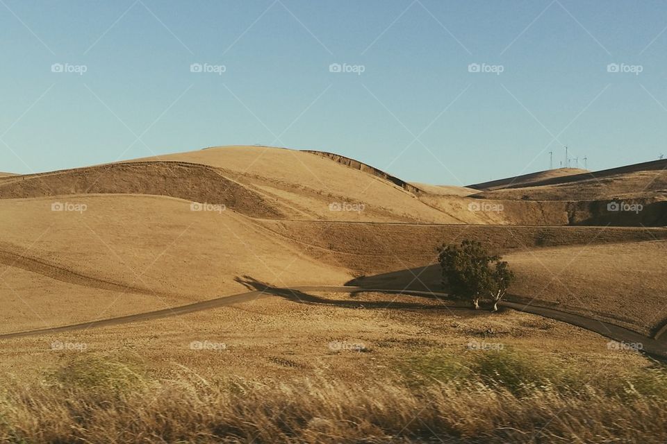 Prarie Rolling Hills