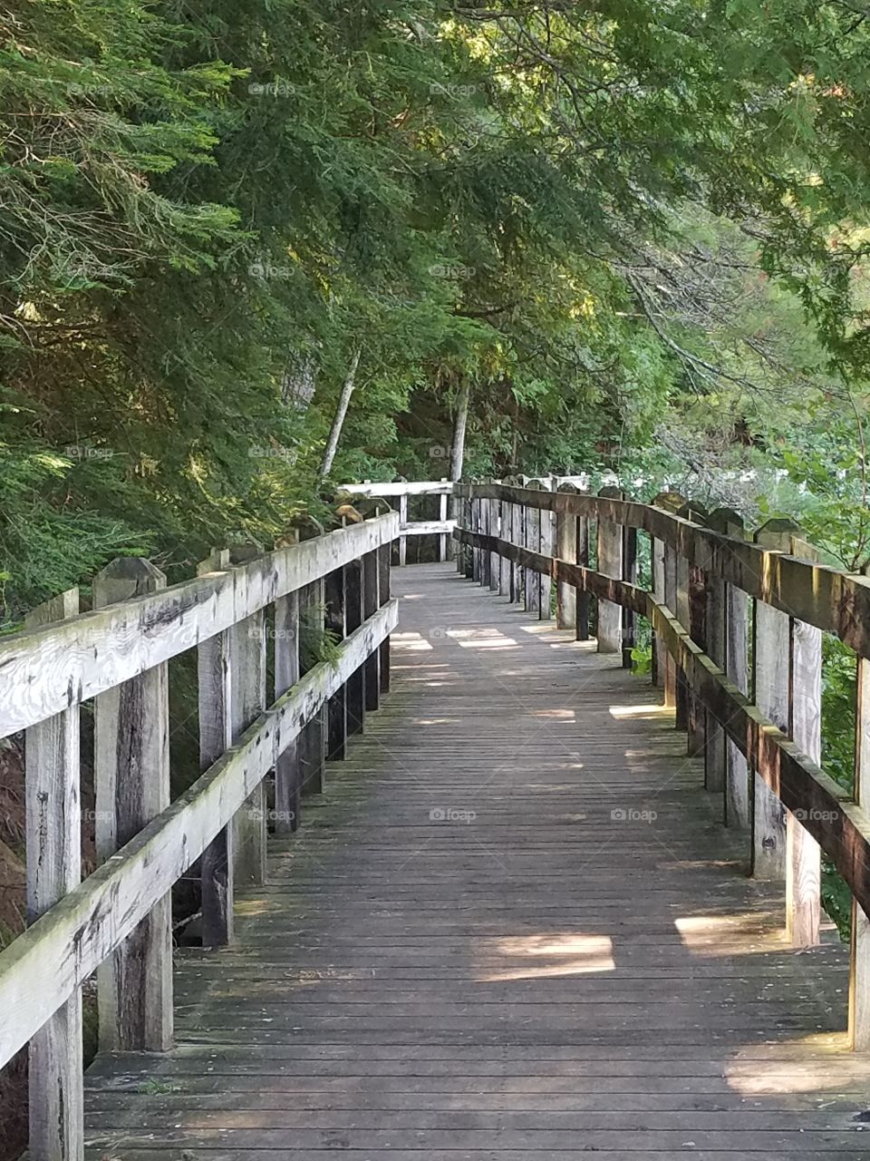 Wooden Walkway at Tahquamenon Falls