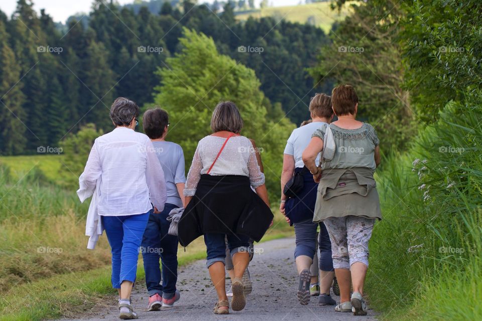 Friends Take A Walk Around Sempach Lake