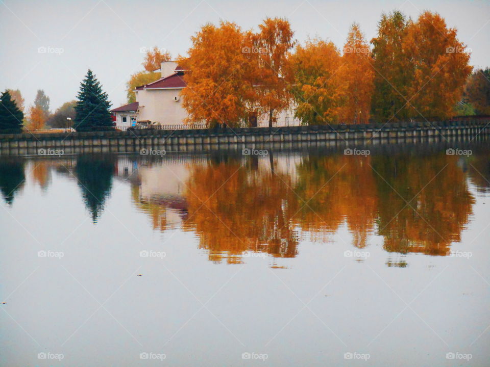 Autumn trees reflected on lake