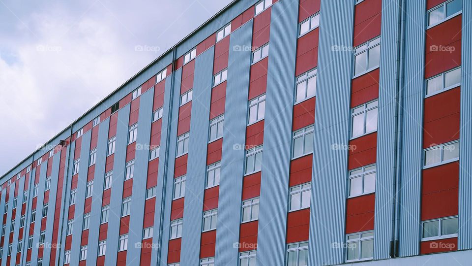 windows shape the building