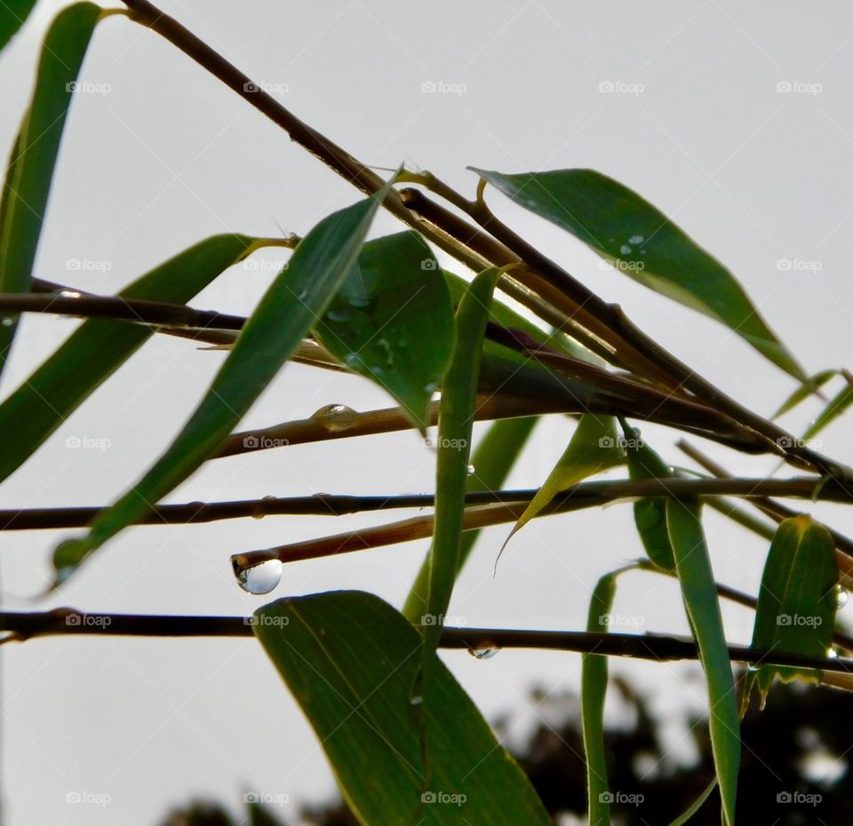 Calm after the storm