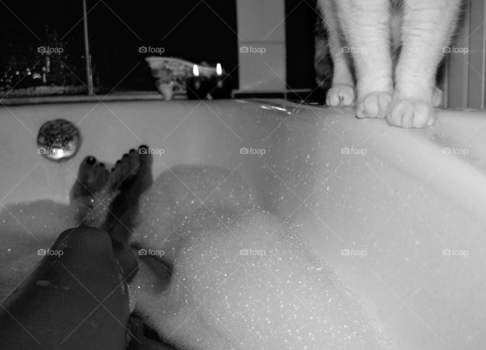 female legs resting in the bathroom and cat paws pet black and white background