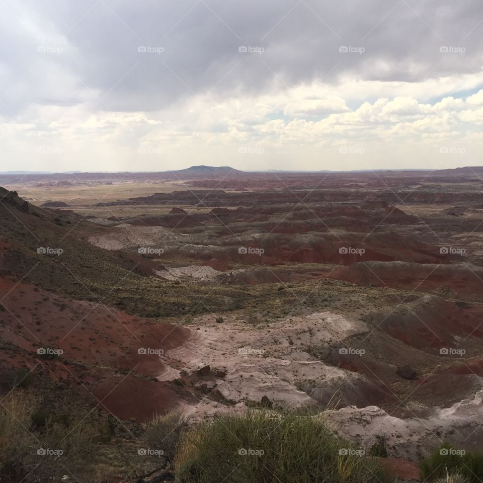 Painted desert view 