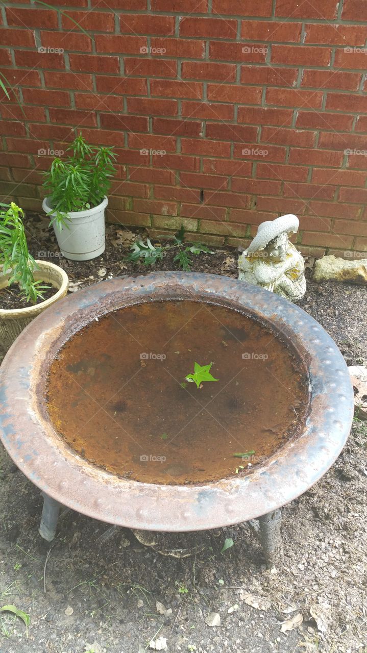 Firepit view with water