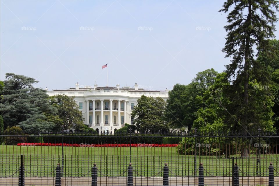 White House