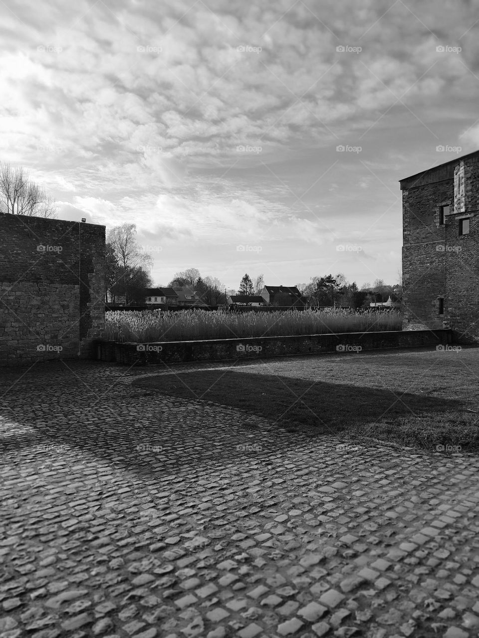 Visit of the castle of Havré, Hainaut