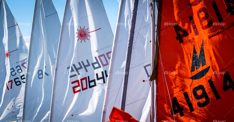 sales ahoy. a bank of dingy sails lined up at sailing club